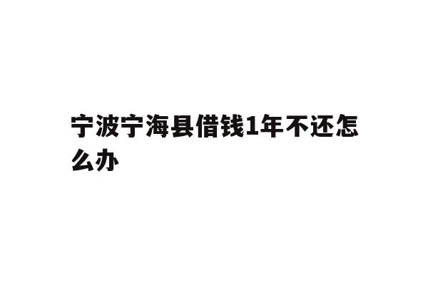 宁波宁海县借钱1年不还怎么办