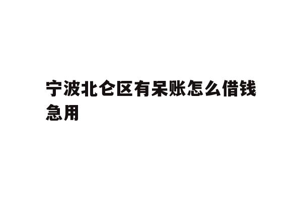 宁波北仑区有呆账怎么借钱急用
