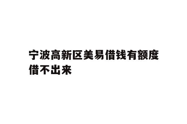 宁波高新区美易借钱有额度借不出来