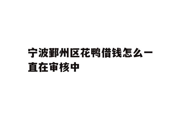 宁波鄞州区花鸭借钱怎么一直在审核中