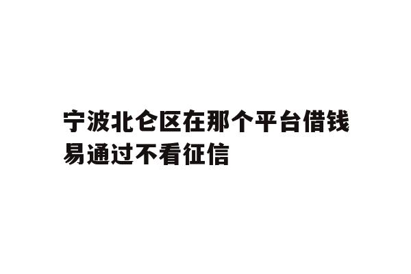 宁波北仑区在那个平台借钱易通过不看征信